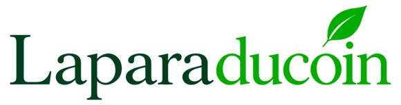laparaducoin.ma