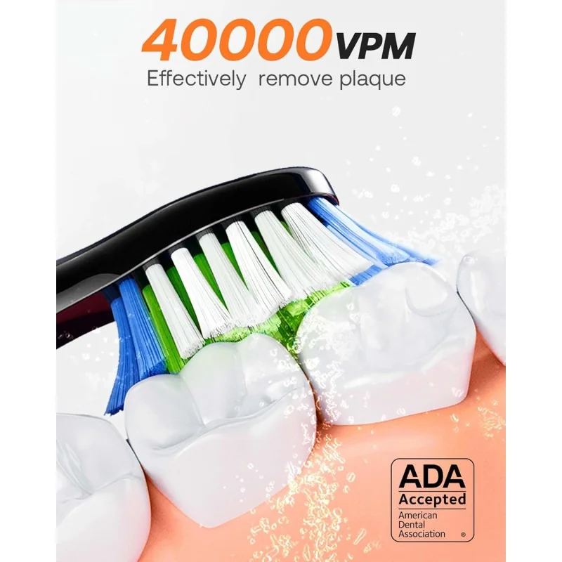 Bitvae BVD2 brosse à dents électrique 8 têtes – Image 5