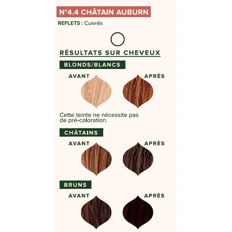Emblica CHÂTAIN AUBURN 4.4 - 100 g - الصورة 2